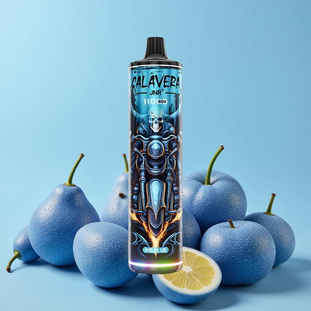 JNR Calavera 11000 Puffs Disposable Vape Herr Blå Type-C 850mAh 21ml