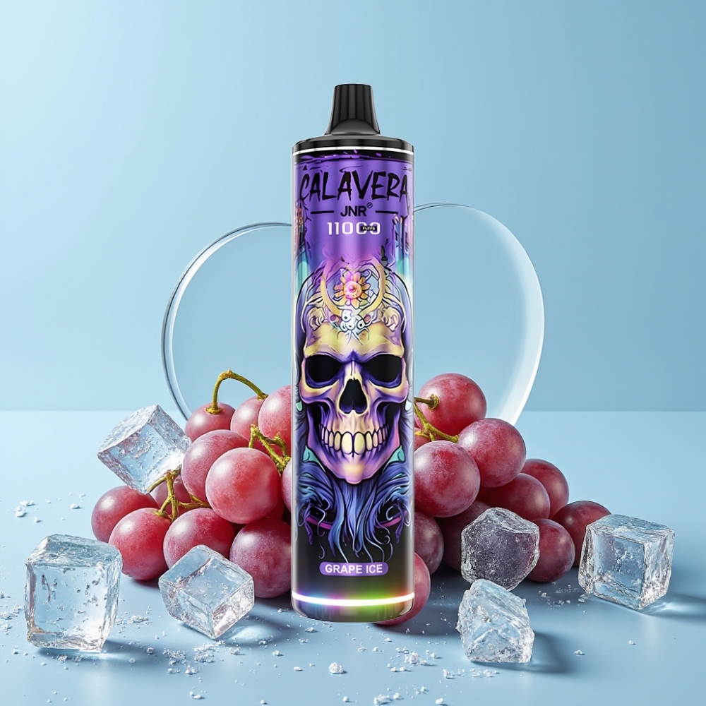 JNR Calavera 11000 Puffs Type-C 21ml Drueis Norge online wholesalers