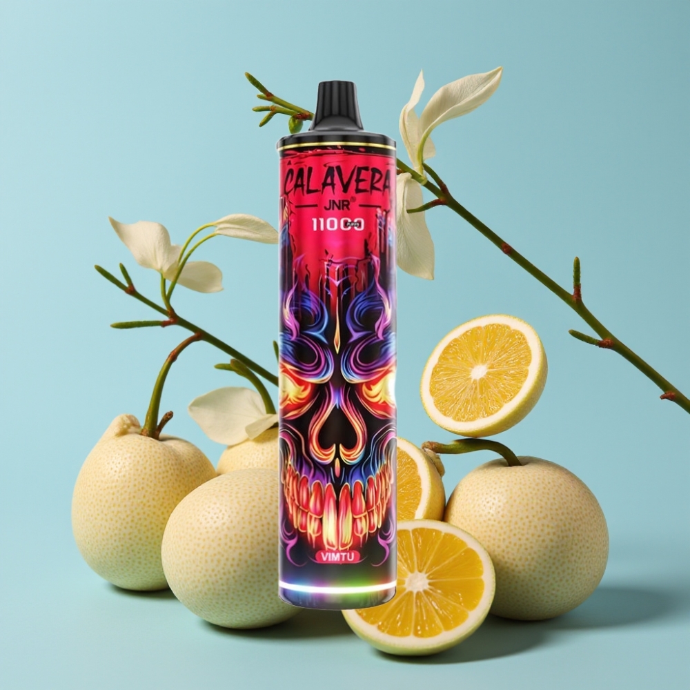 JNR Calavera 11000 Puffs Type-C 21ml Vimtu Norge online wholesalers