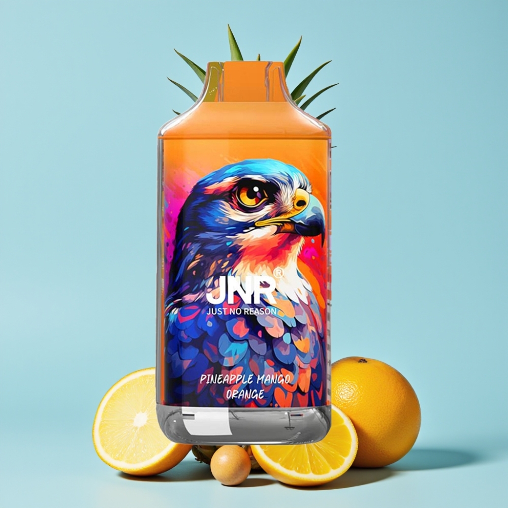 JNR Falcon 16000 Puffs 850mAh 22ml Dual Mesh Coil Ananas Mango Appelsin