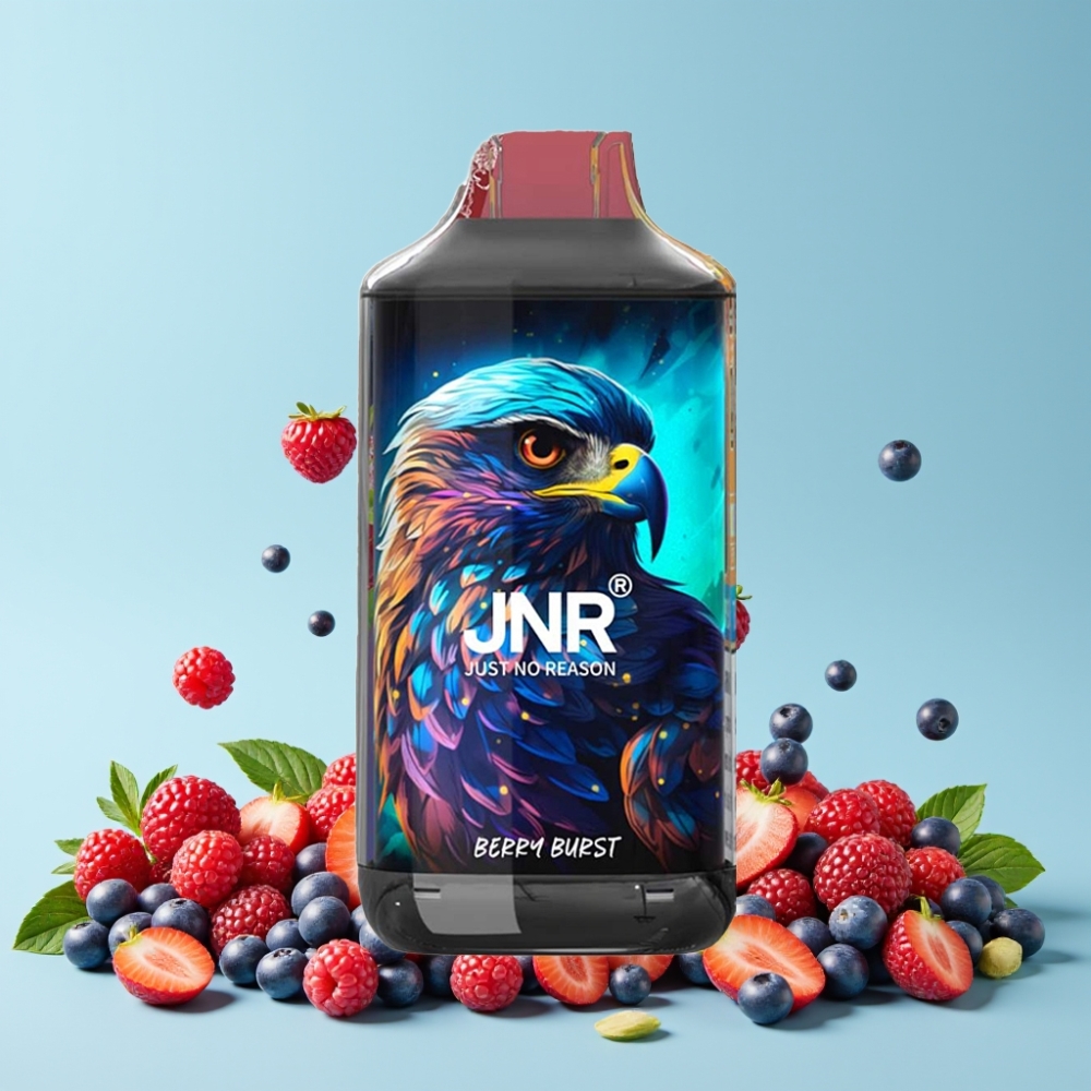 JNR Falcon 16000 Puffs 850mAh 22ml Dual Mesh Coil Bæreksplosjon