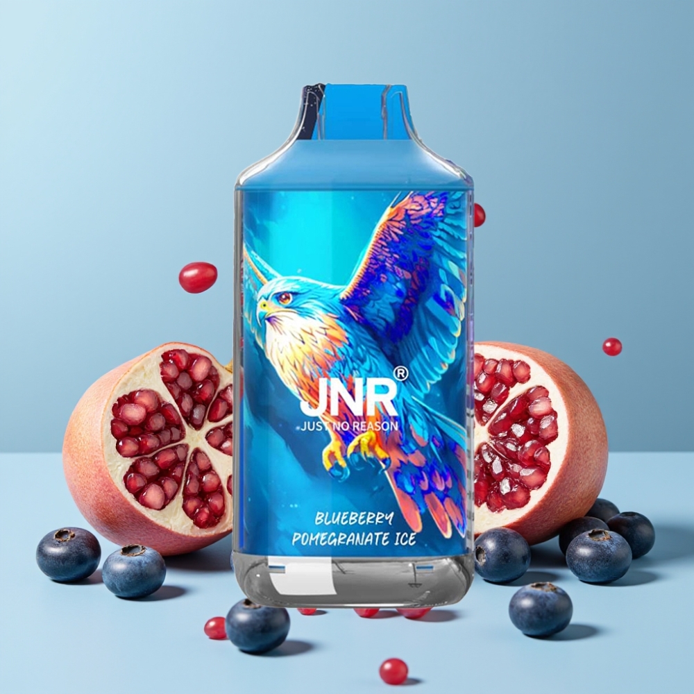 JNR Falcon 16000 Puffs 850mAh 22ml Dual Mesh Coil Blåbær Granate Is