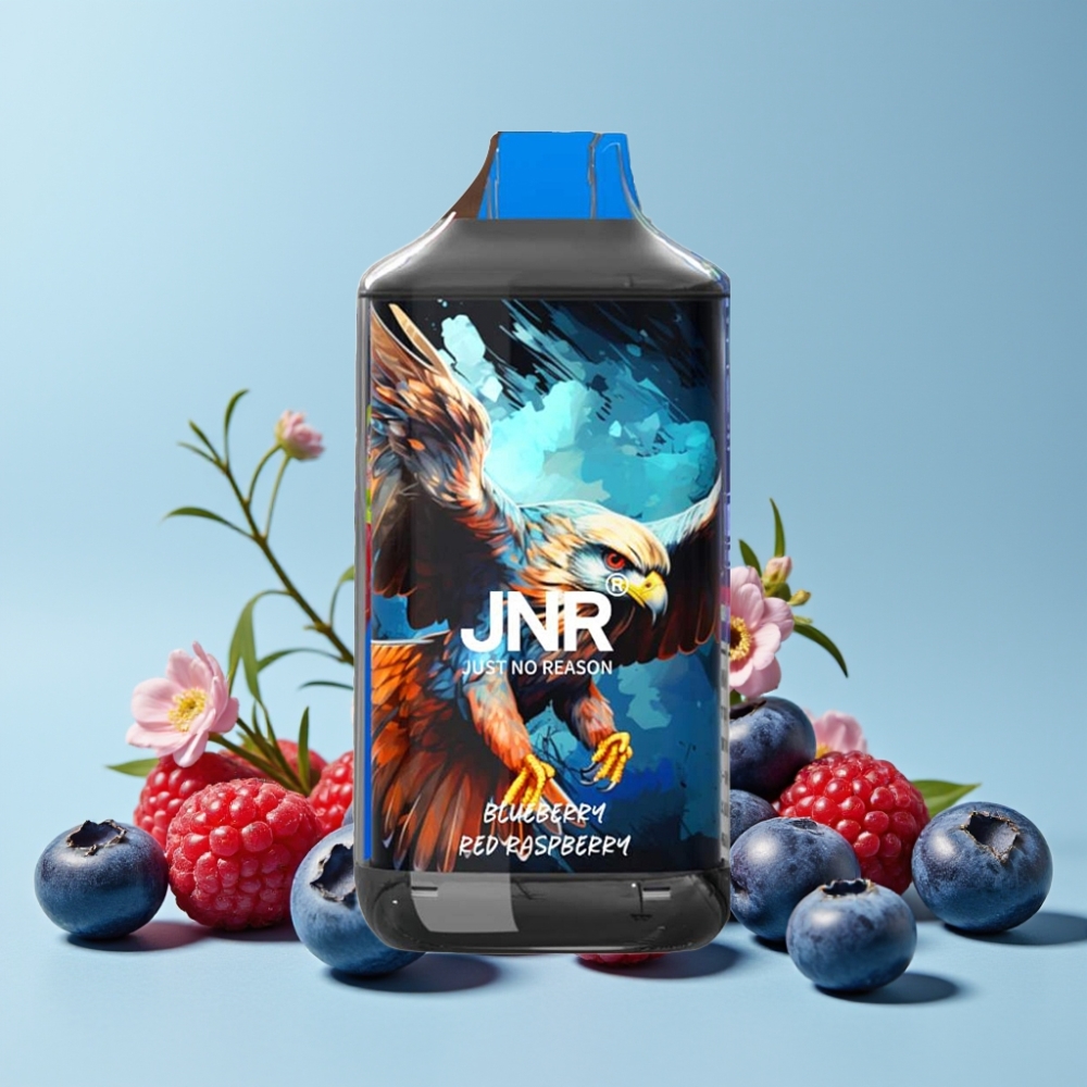 JNR Falcon 16000 Puffs 850mAh 22ml Dual Mesh Coil Blåbær Rød Bringebær