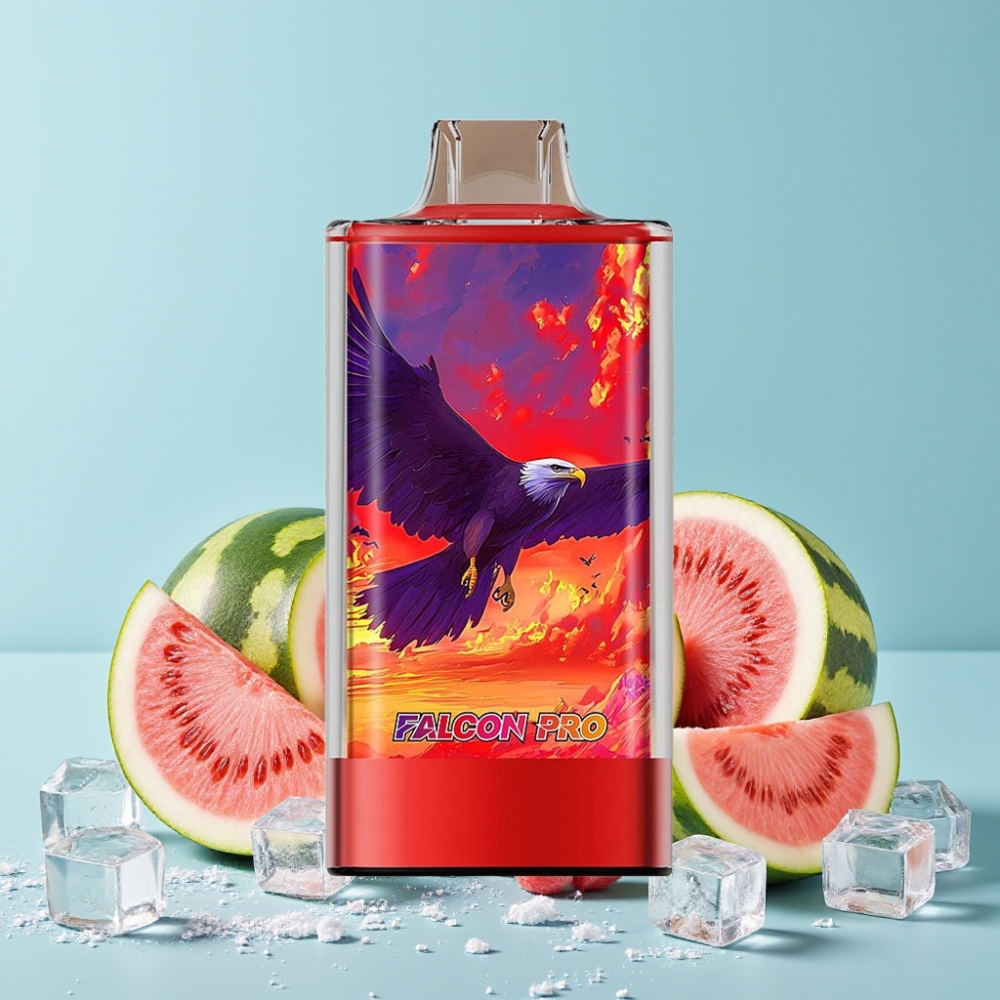 JNR Falcon Pro 28000 30ml 5% Nikotin Smart Display Vannmelon Is