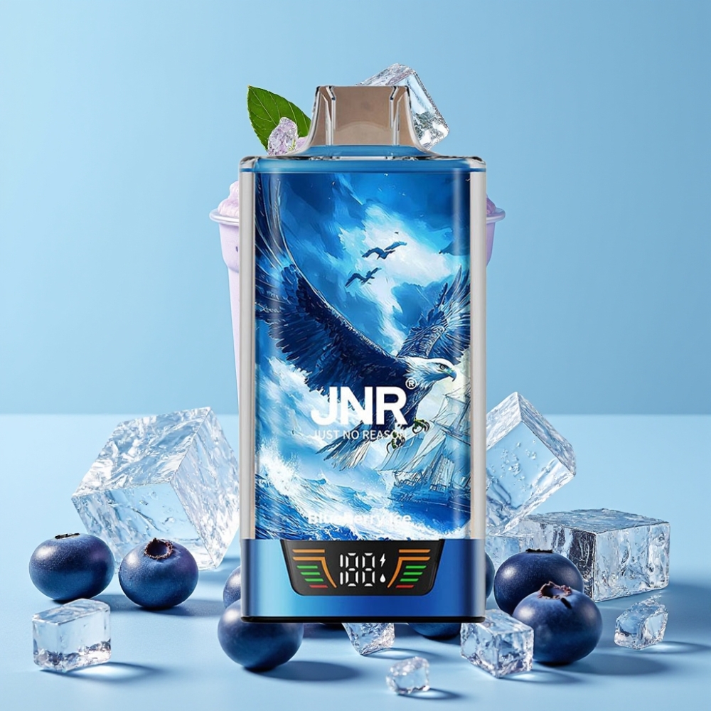 JNR Falcon Pro 28000 30ml Blåbær Is Smart Display Dual Mesh Coil