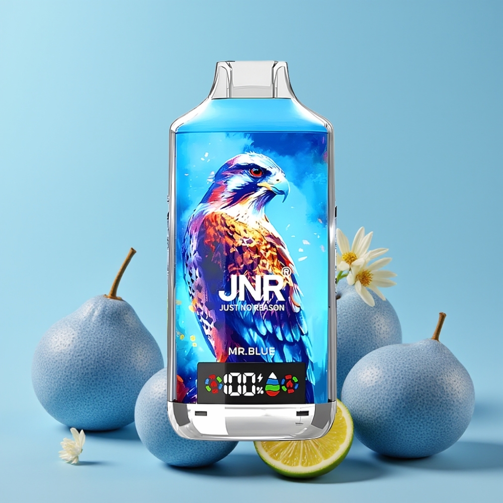 JNR Falcon X 18000 Puffs 24ml 750mAh Type-C Digital Display Herr Blå