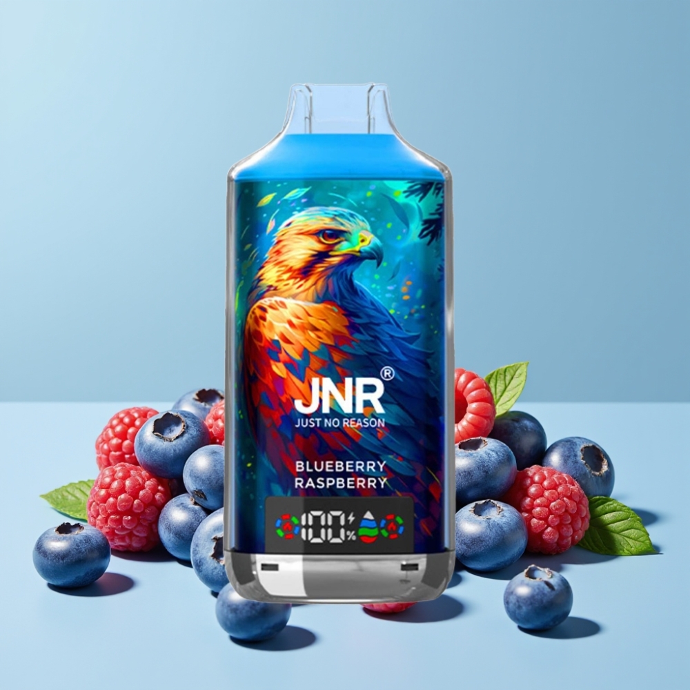 JNR Falcon X 18000 Puffs 24ml Blåbær Bringebær Dual Mesh Digital Type-C