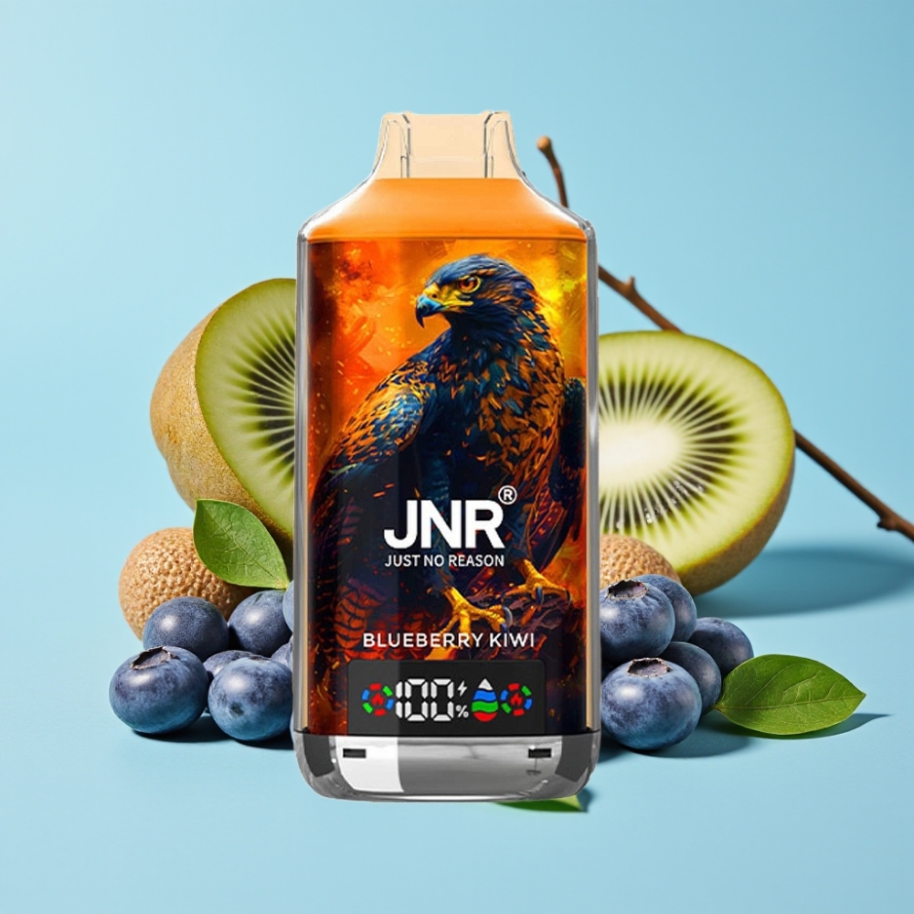 JNR Falcon X 18000 Puffs 24ml Blåbær Kiwi Dual Mesh Digital Type-C