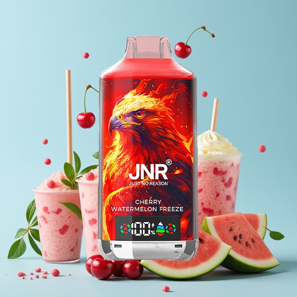 JNR Falcon X 18000 Puffs 24ml Cherry Watermelon Freeze Dual Mesh Coil Type-C