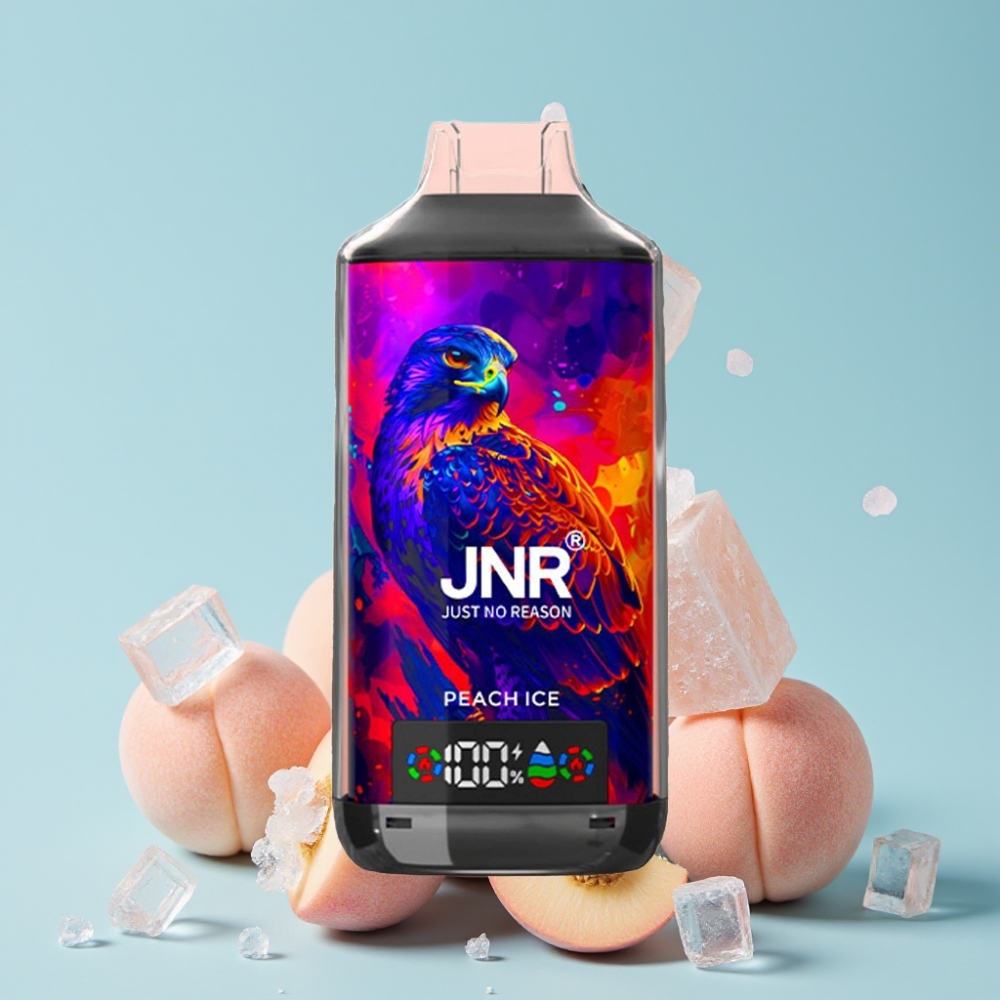 JNR Falcon X 18000 Puffs Digital Display Type-C Fersken Is