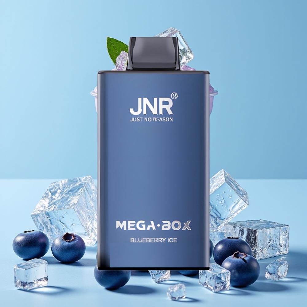 JNR Mega Box 25000 Puffs 30ml Blåbær Is Type-C Lader 850mAh Dual Mesh