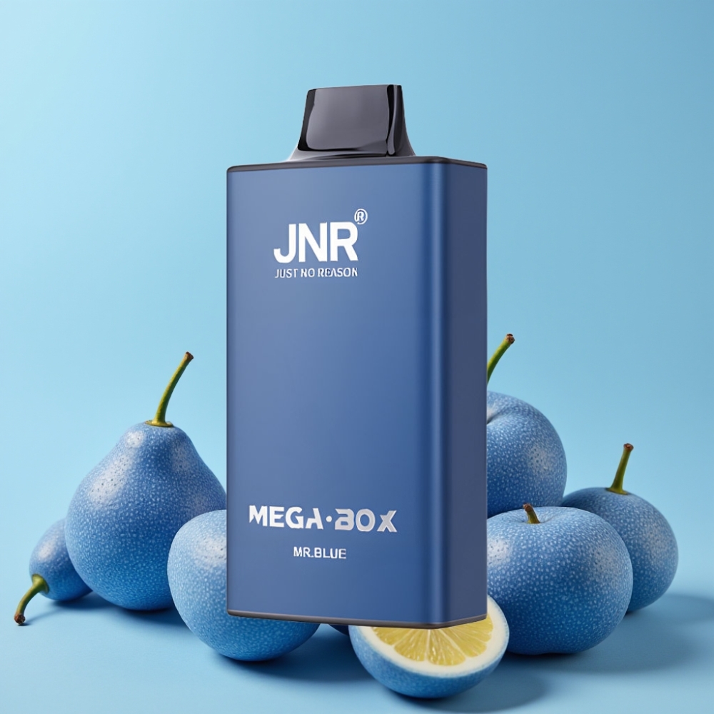 JNR Mega Box 25000 Puffs 30ml E-liquid 850mAh Type-C Herr Blå