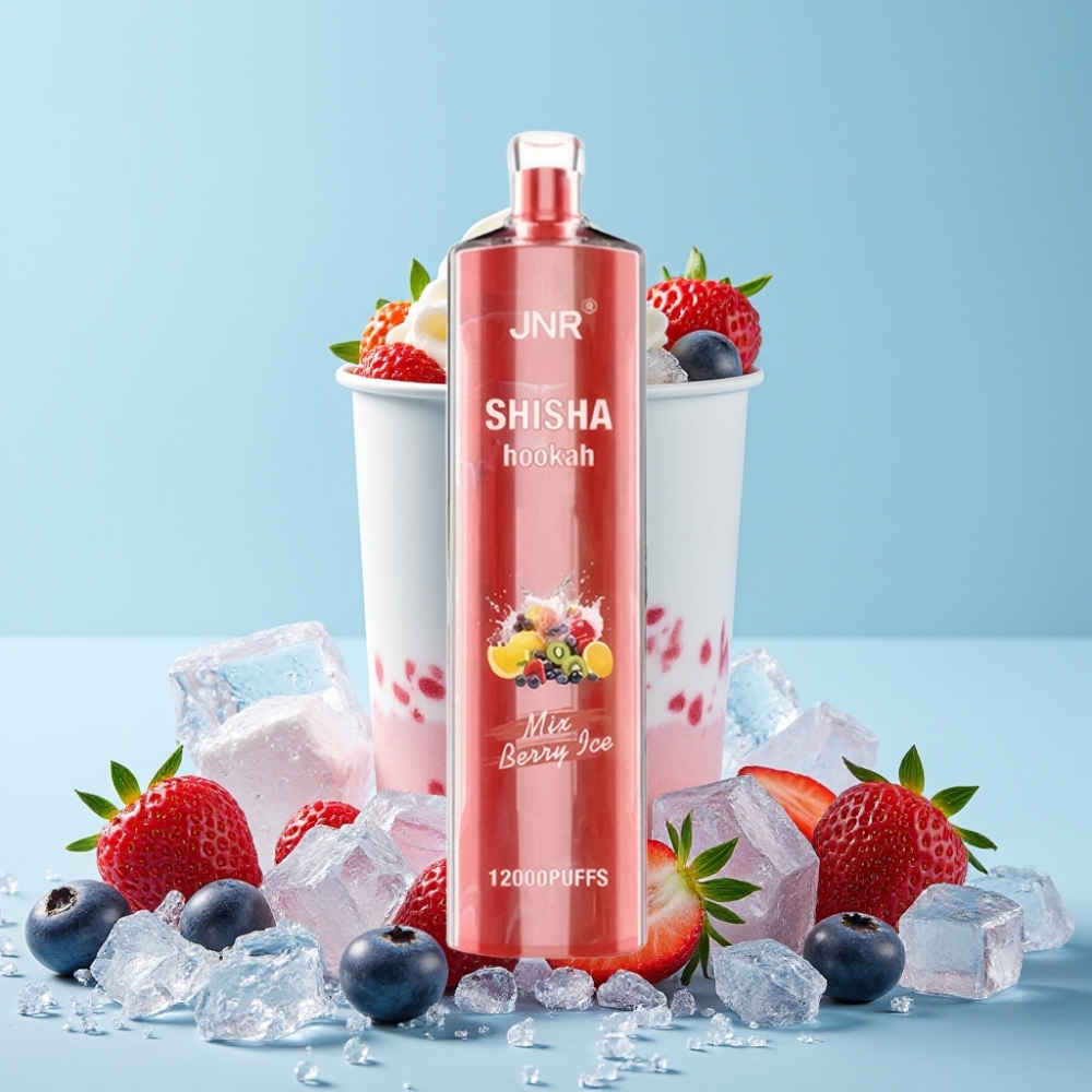 JNR Shisha Hookah 12000 Puffs 24ml 0,6 Ohm Bæris Norge online wholesalers
