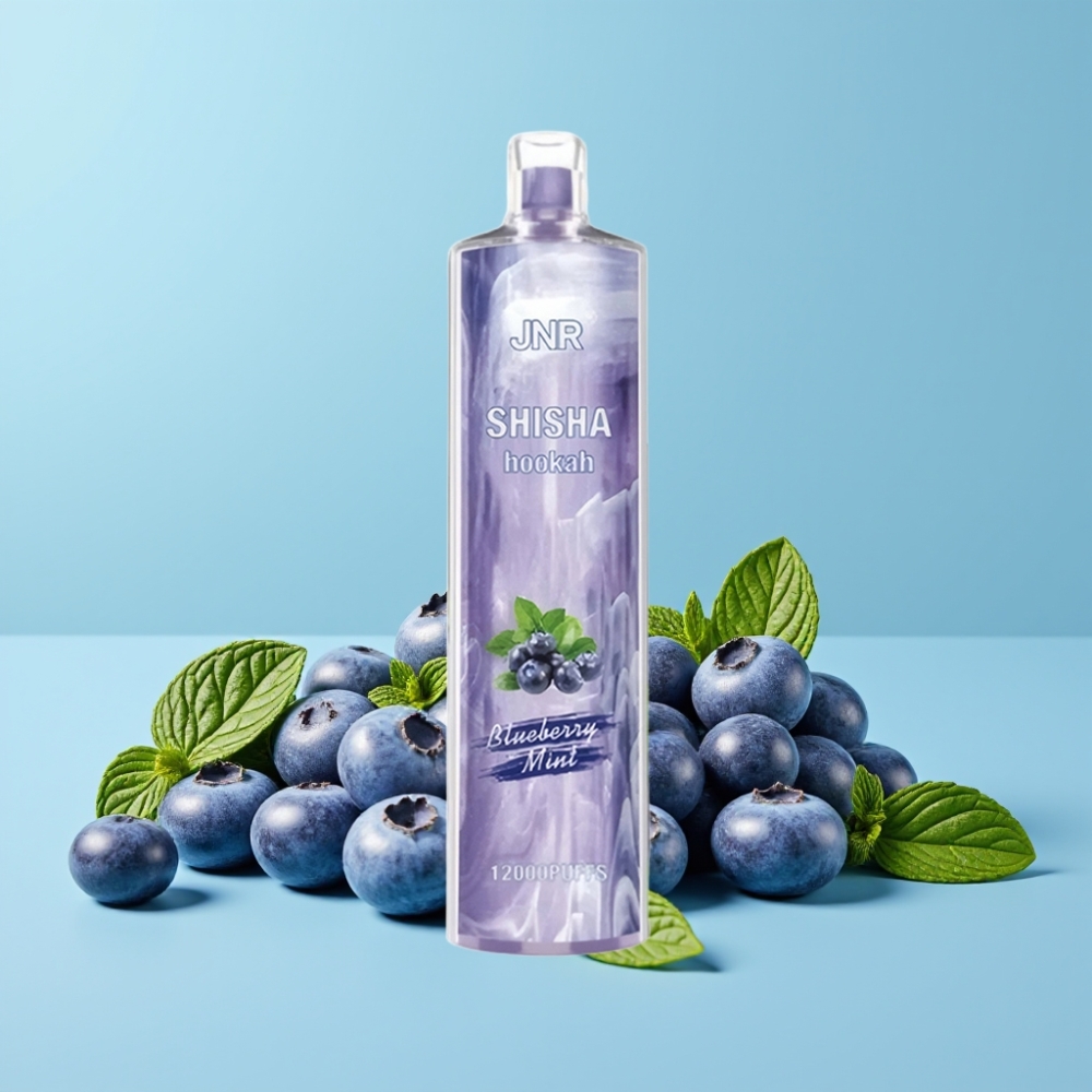 JNR Shisha Hookah 12000 Puffs 24ml 0.6 Ohm Blåbær Mynte Norge online wholesalers