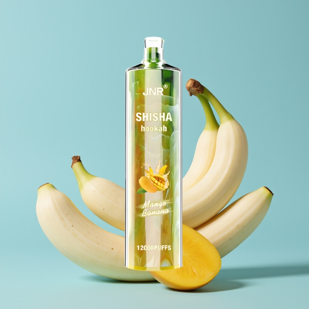JNR Shisha Hookah 12000 Puffs 24ml 750mAh Mango Banan Type-C