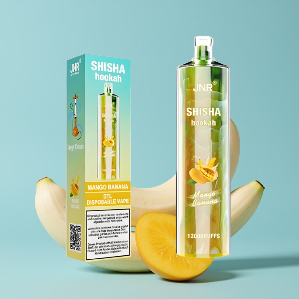 JNR Shisha Hookah 12000 Puffs 24ml 750mAh Mango Banan Type-C