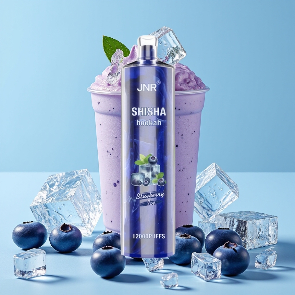 JNR Shisha Hookah 12000 Puffs 24ml Blåbær Is Type-C Lading