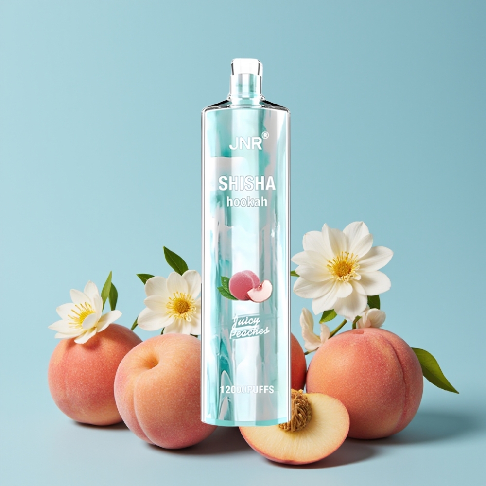 JNR Shisha Hookah 12000 Puffs 24ml Juicy Peaches Type-C Norge online wholesalers