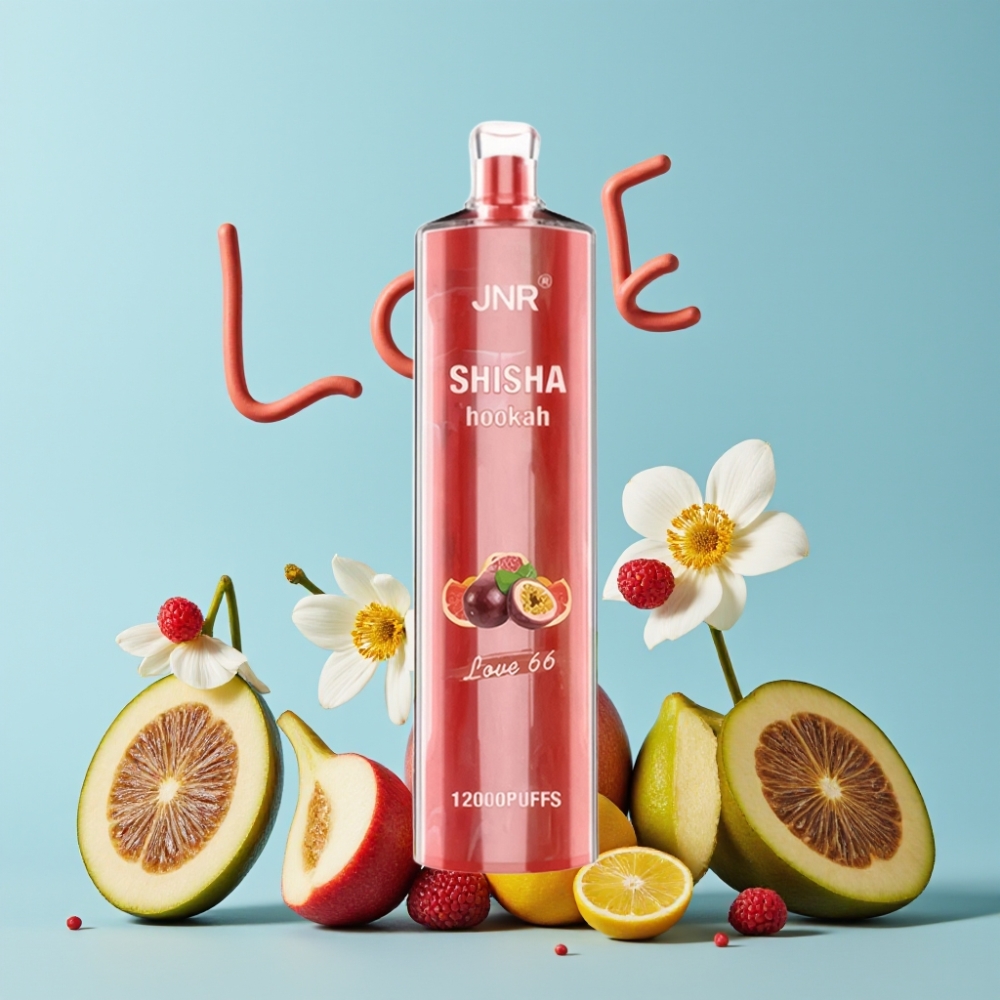JNR Shisha Hookah 12000 Puffs 24ml Kjærlighet 66 Type-C Lading