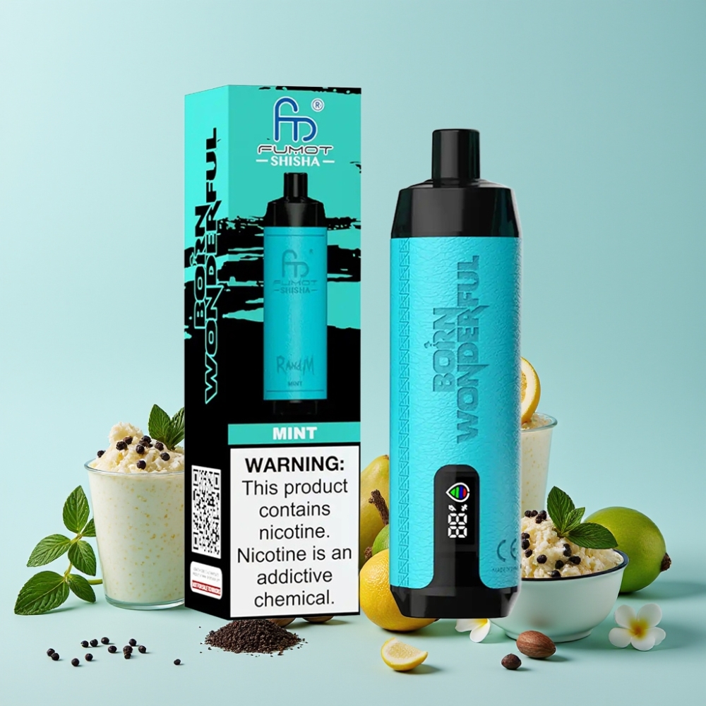 RandM Fumot Shisha 10000 Puffs 18ml Mint Type-C LED Norge online wholesalers