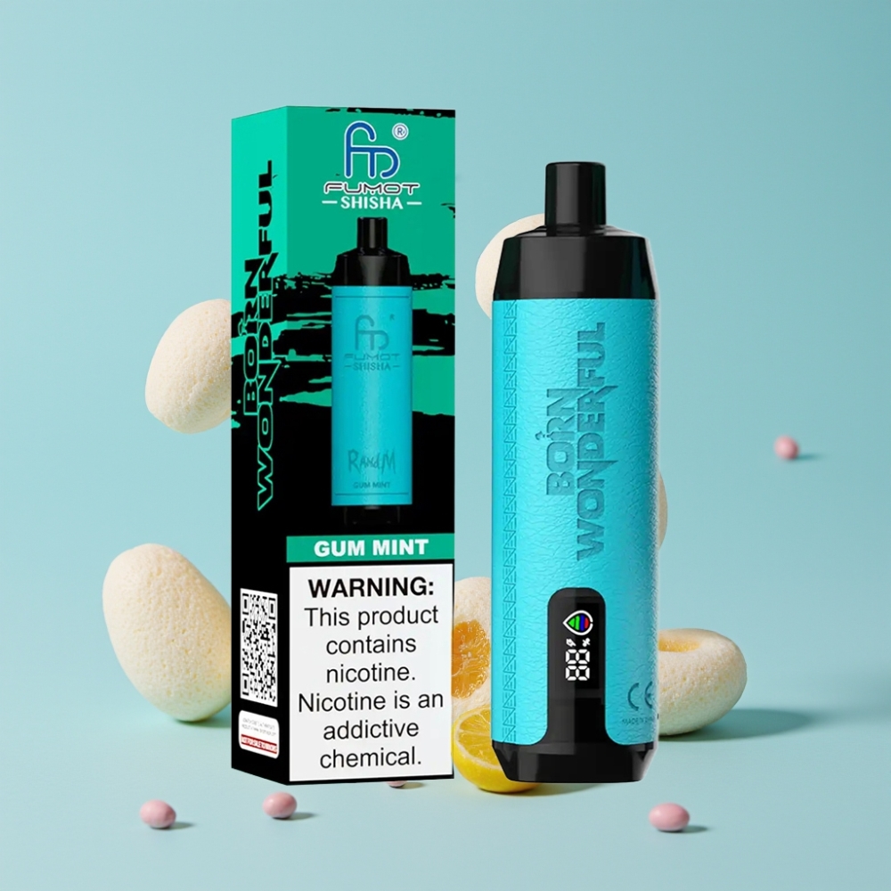 RandM Fumot Shisha 10000 Puffs 18ml Tynnmynte Type-C LED