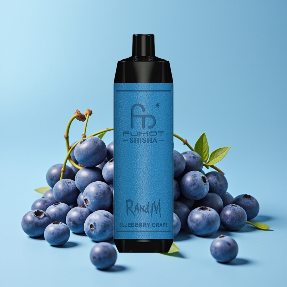 RandM Fumot Shisha 10000 Puffs 18ml Type-C Blåbær Drue Norge online wholesalers