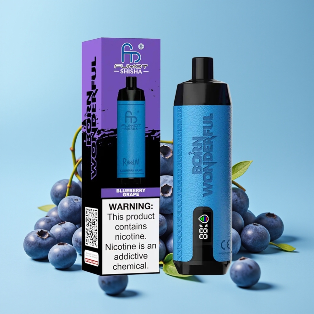 RandM Fumot Shisha 10000 Puffs 18ml Type-C Blåbær Drue Norge online wholesalers