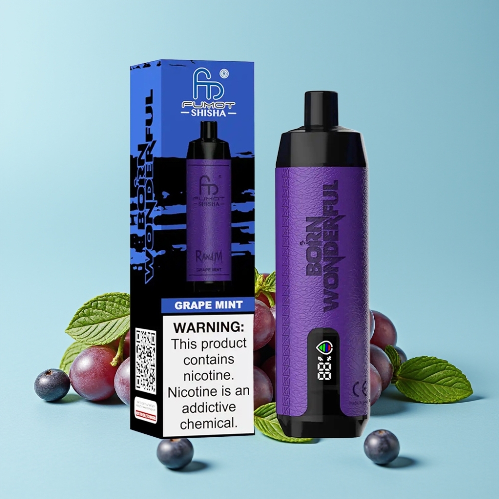 RandM Fumot Shisha 10000 Puffs Druemynt Disposable Vape med 18ml e-væske og Type-C