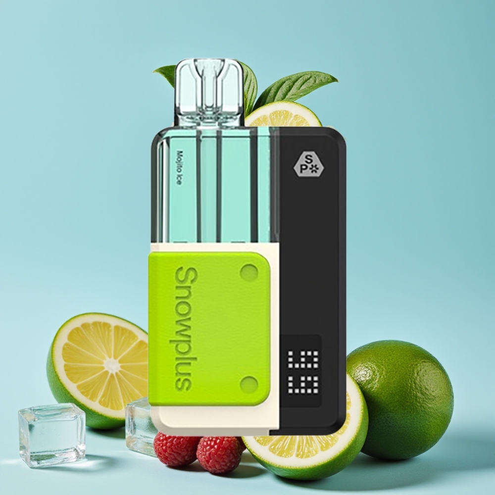 Snowplus Swift 5000 Puffs Dual Mesh 1000 mAh Mojito Is Norge online wholesalers
