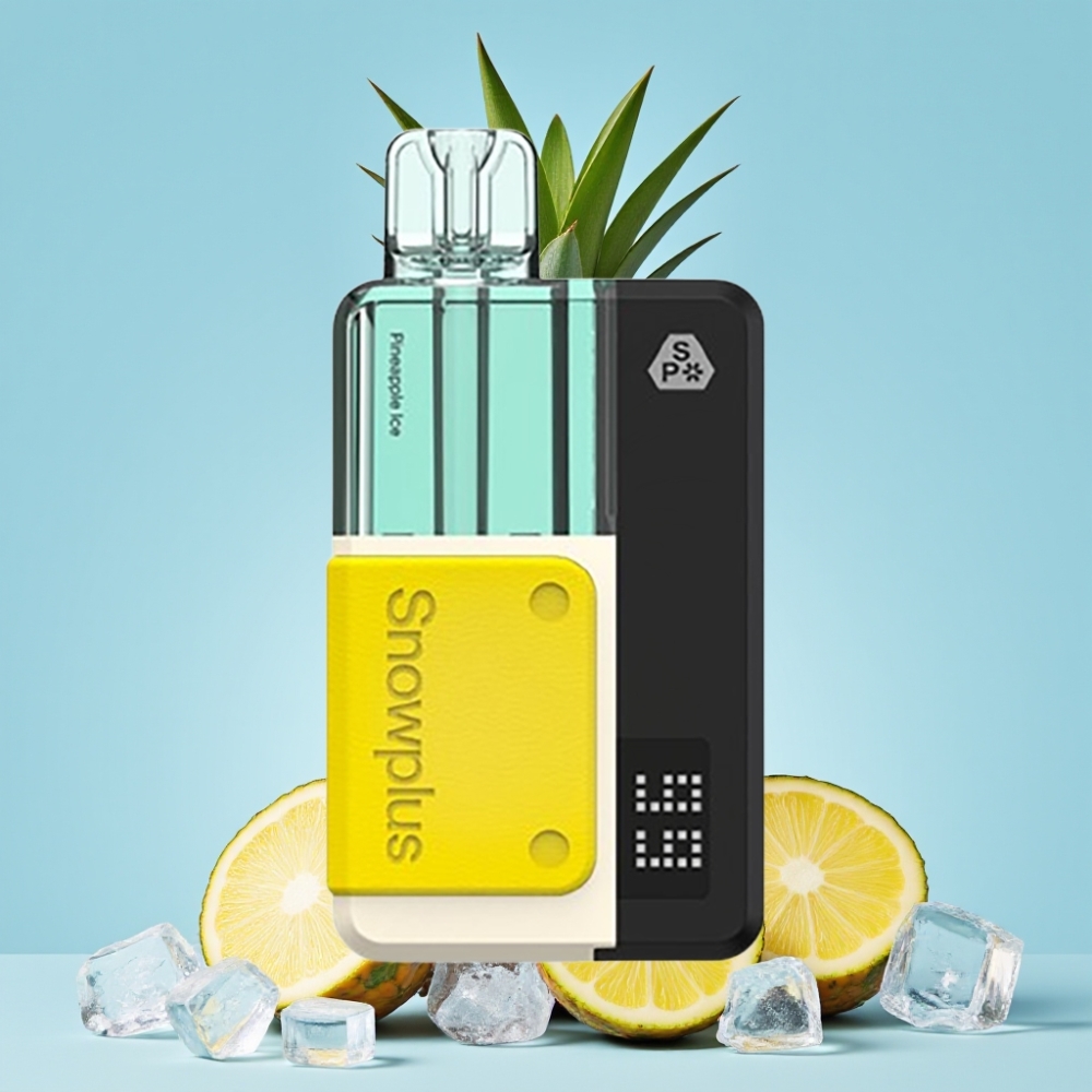 Snowplus Swift 5000 Puffs Dual Mesh 1000mAh Ananas Is Norge online wholesalers